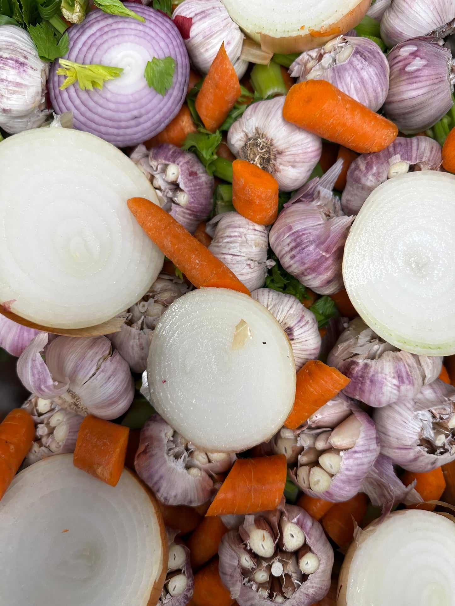 Focus & Energy Blend: Organic Dehydrated Bone Broth with Organic 8:1 Mushroom Extracts