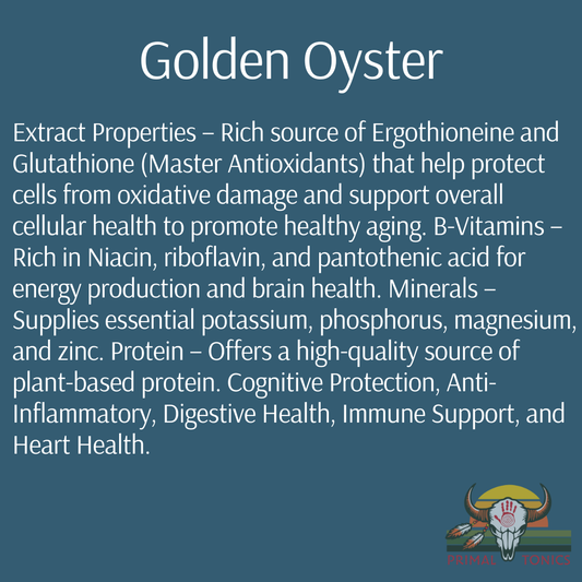 Longevity Blend: 8:1 Mushroom Extracts Rich in Ergothioneine and Glutathione (Master Antioxidants)