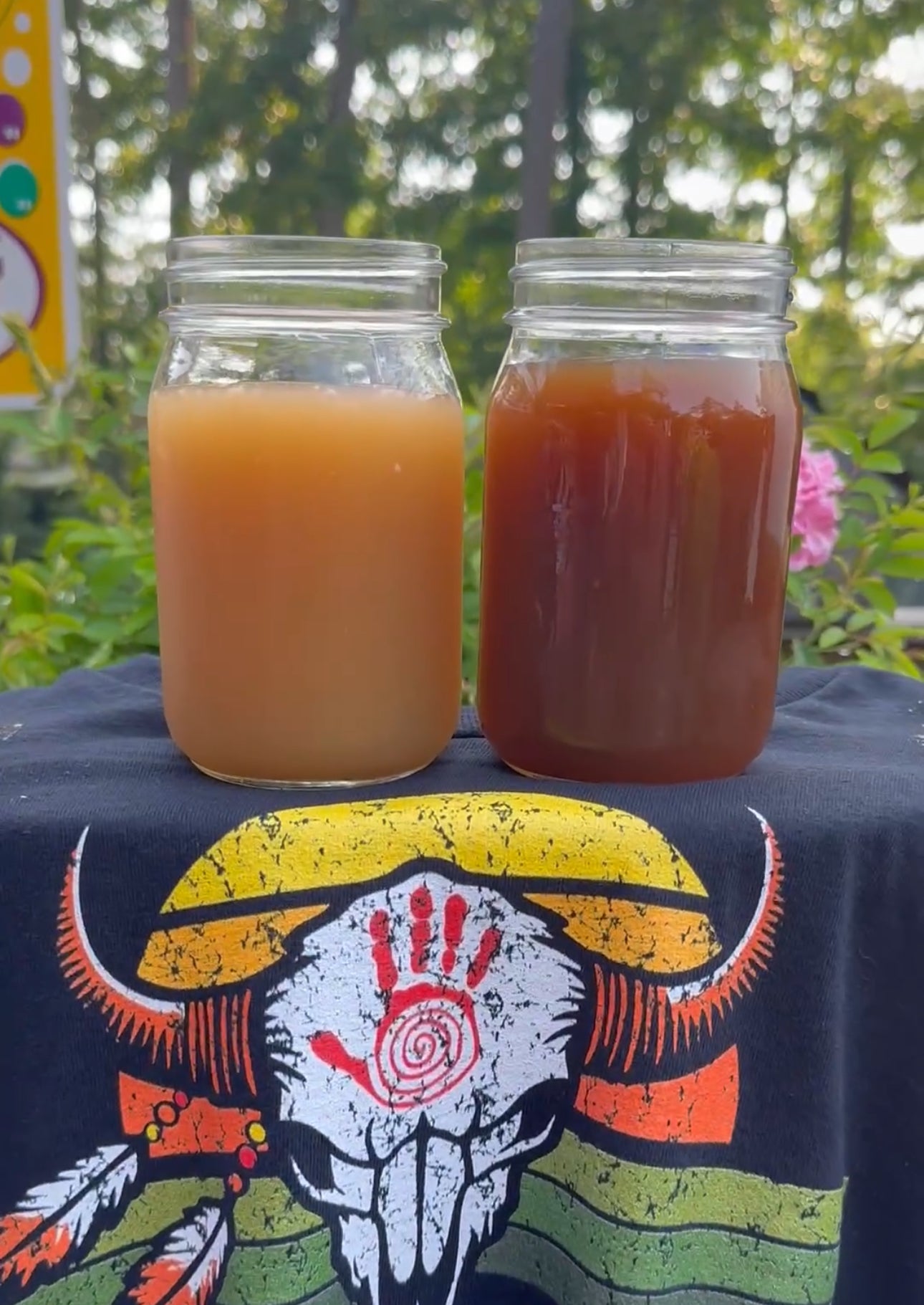 Organic Dehydrated Naked Bone Broth