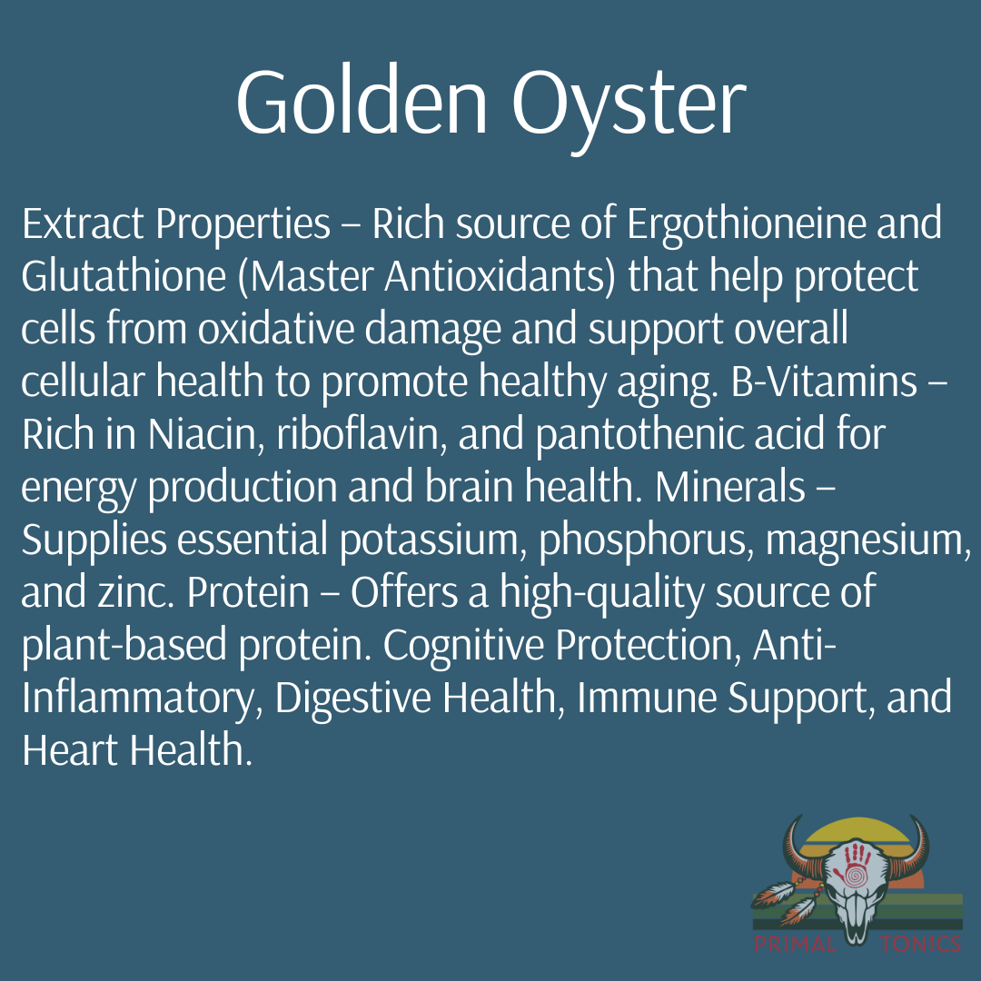 Longevity Blend: 8:1 Mushroom Extracts Rich in Ergothioneine and Glutathione (Master Antioxidants)
